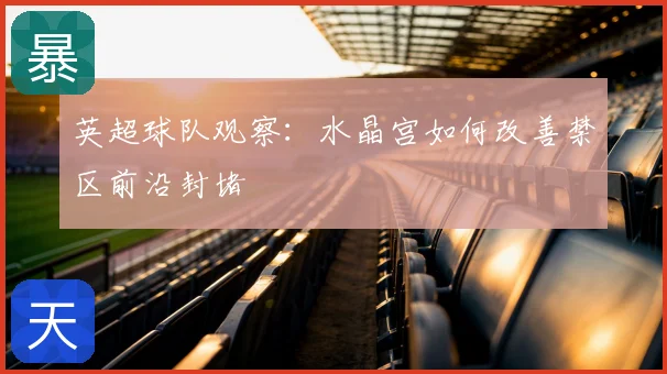 英超球队观察：水晶宫如何改善禁区前沿封堵